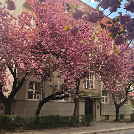 Апарт-Отель "Галаговъ" Ujgorod Dış mekan fotoğraf